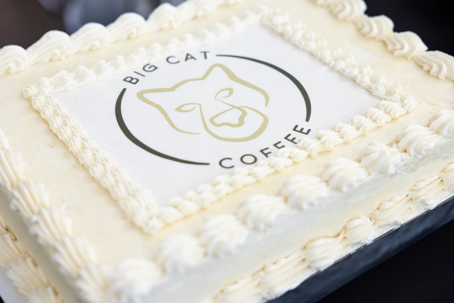 Big Cat Sheet Cake